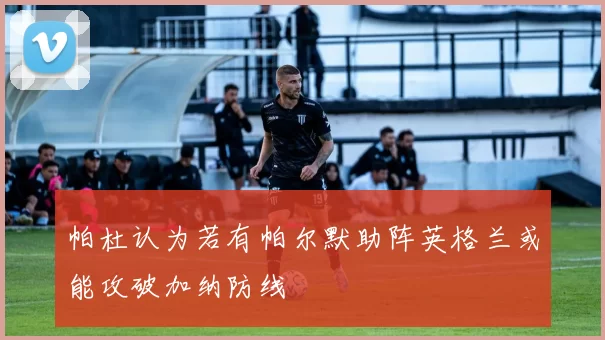 帕杜认为若有帕尔默助阵英格兰或能攻破加纳防线