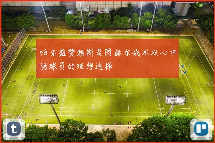 帕克盛赞赖斯是图赫尔战术核心中场球员的理想选择